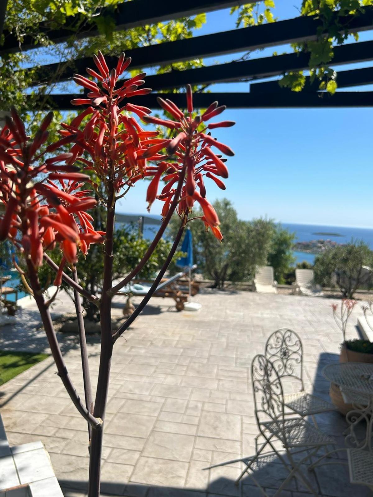 Holiday Home Bepo Sevid Exterior photo